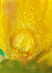 cursed buttercup-13